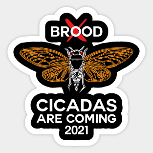 Brood X Cicadas are coming 2021 Sticker